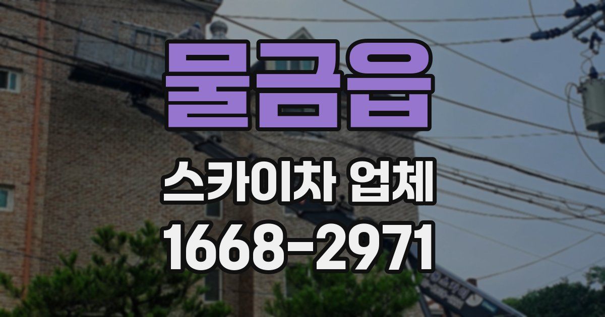 물금읍 스카이차 업체