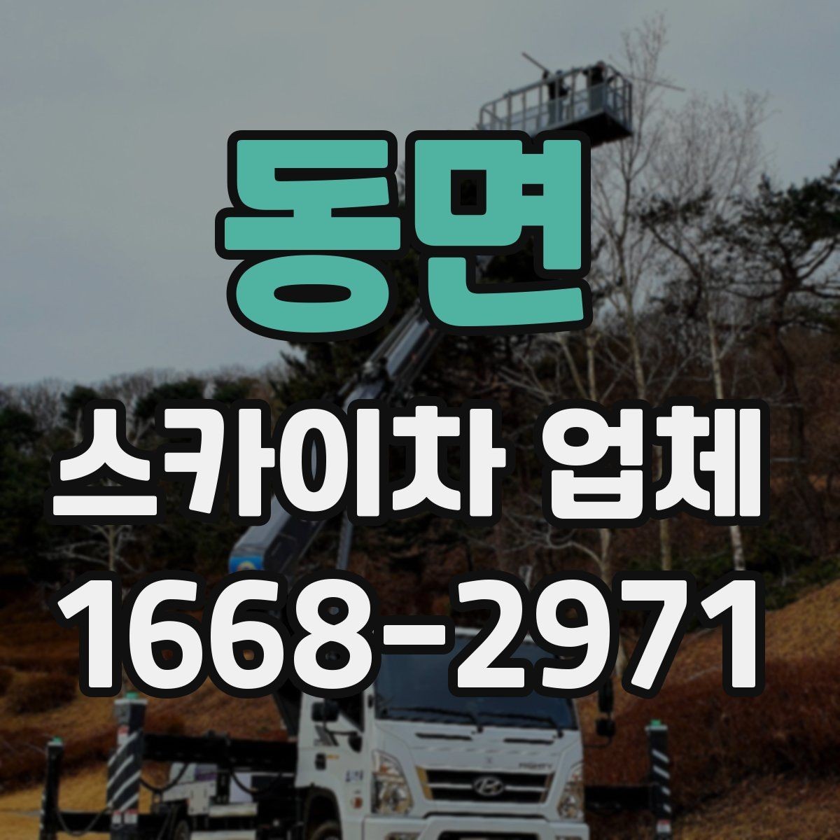 동면 스카이차 업체 의뢰 전 작업 조건 확인하기