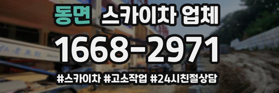 동면 스카이차 업체