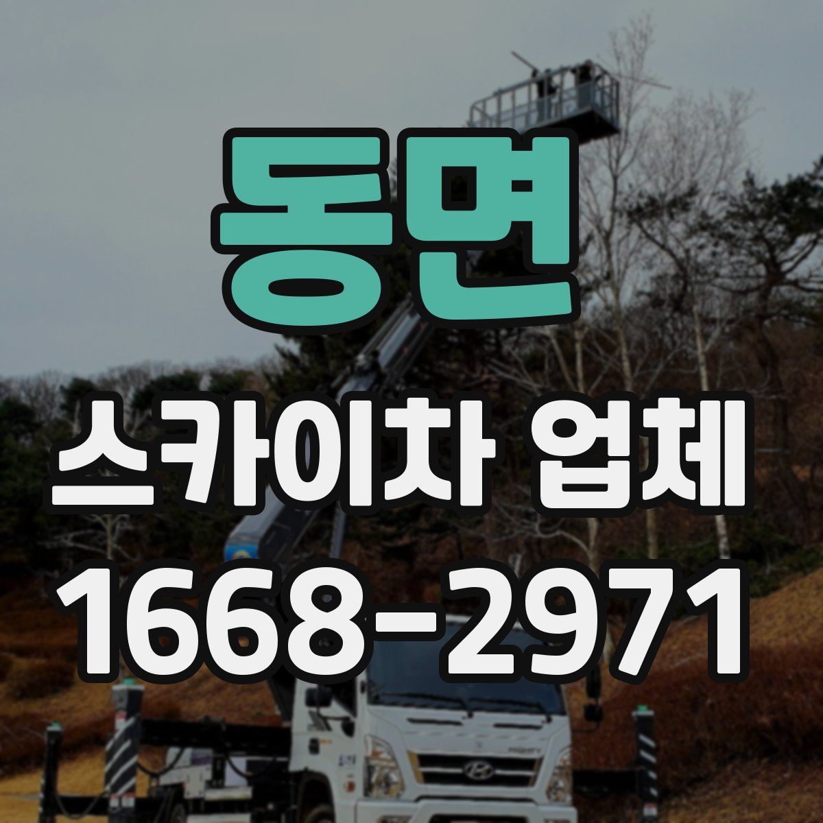 동면 스카이차 업체