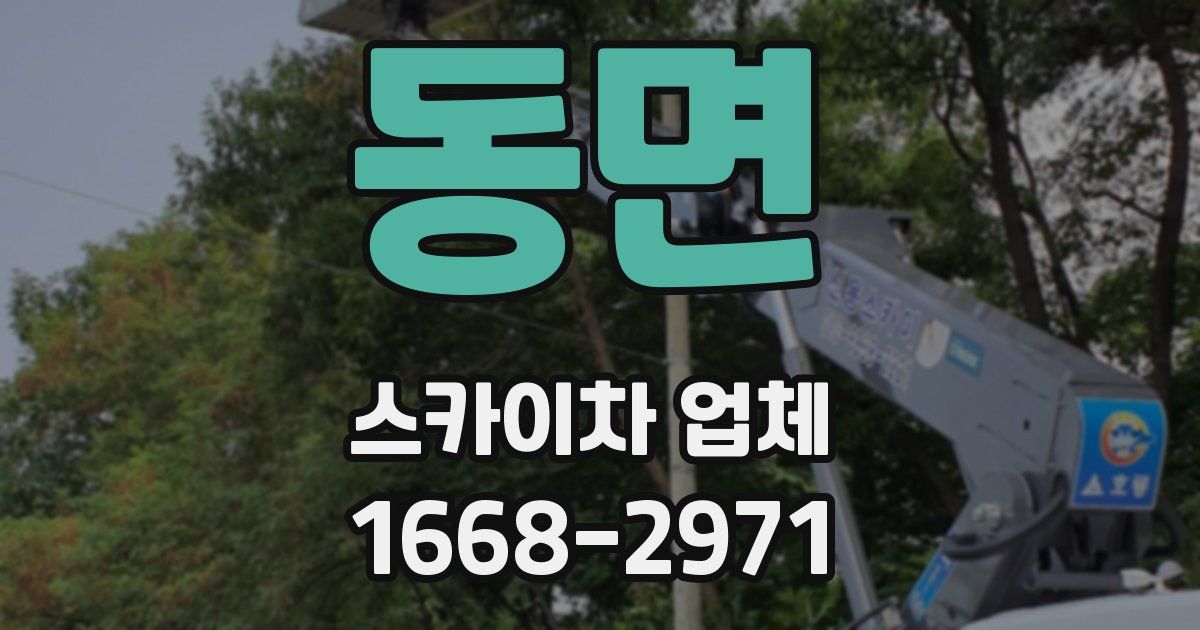 동면 스카이차 업체