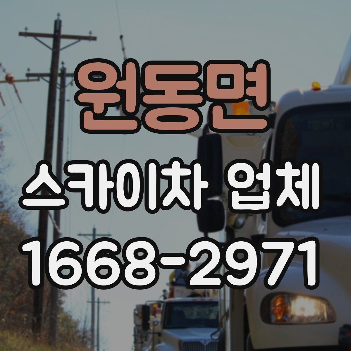 원동면 스카이차 업체 비교할 때 자주 묻는 질문