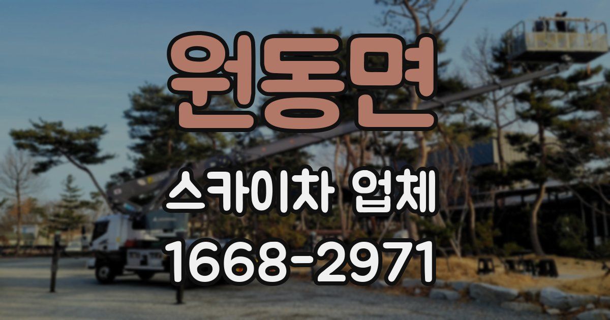 원동면 스카이차 업체