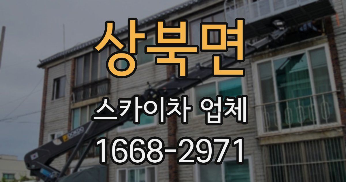 상북면 스카이차 업체