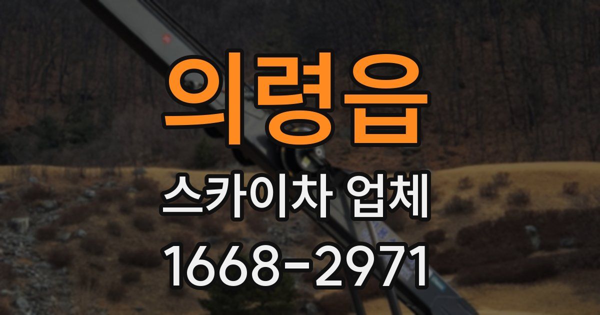 의령읍 스카이차 업체
