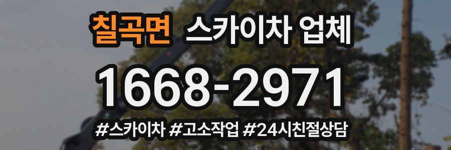 칠곡면 스카이차 업체