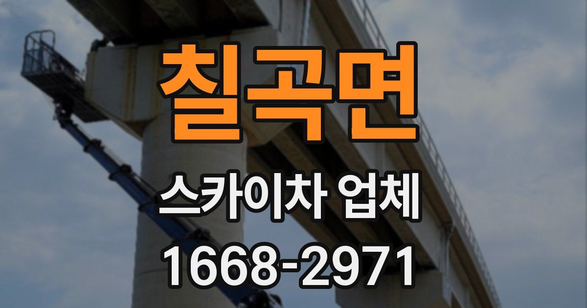 칠곡면 스카이차 업체