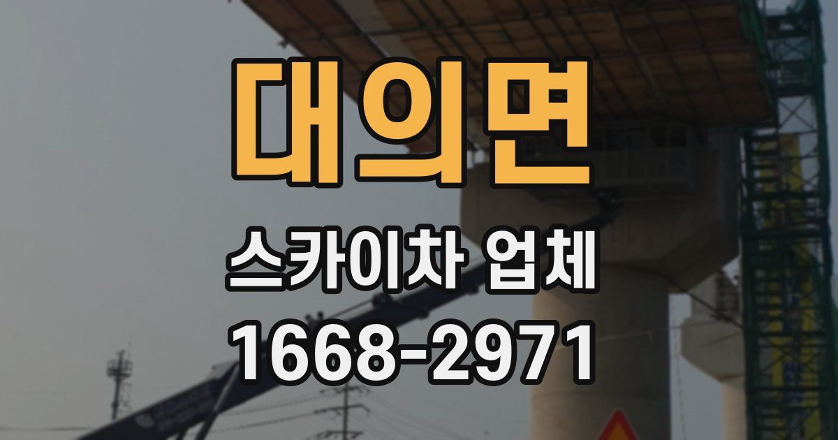 대의면 스카이차 업체
