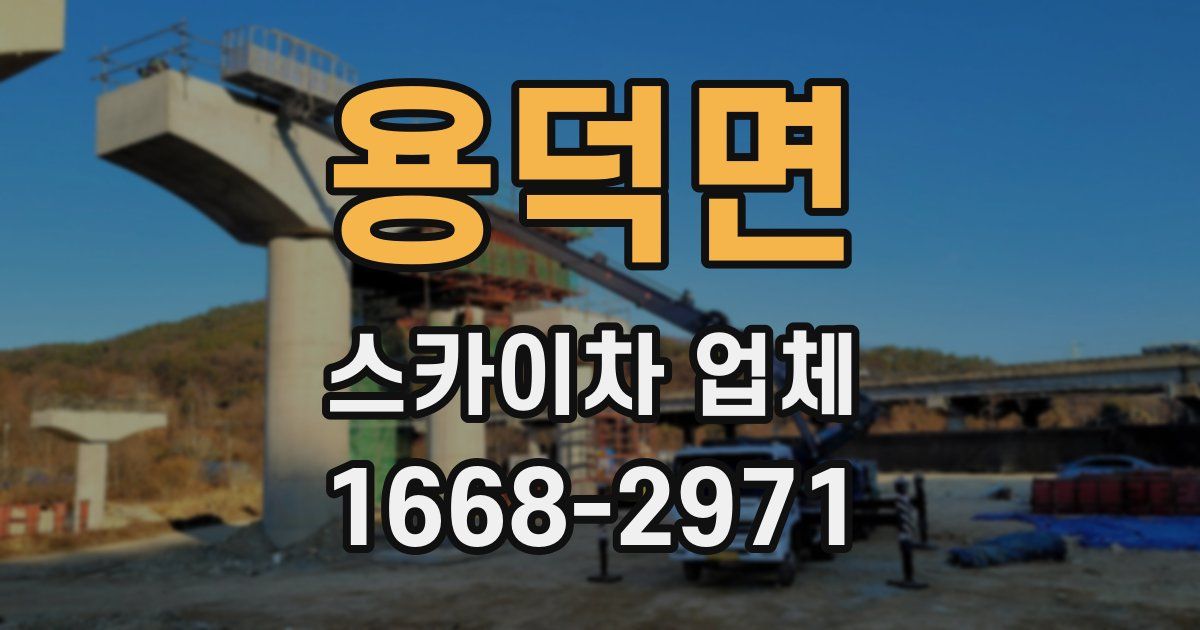 용덕면 스카이차 업체