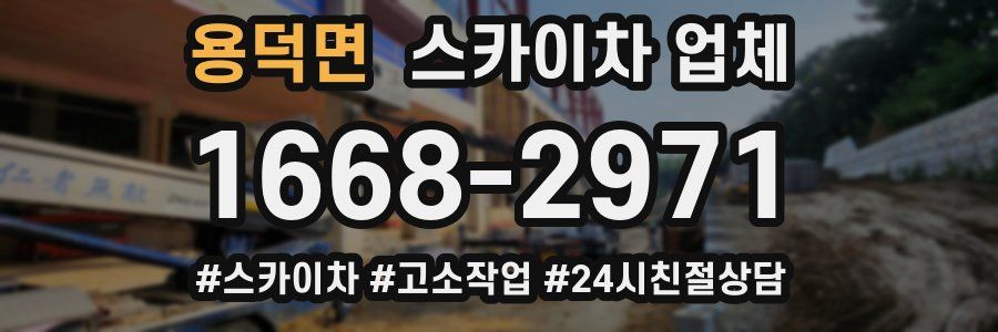 용덕면 스카이차 업체