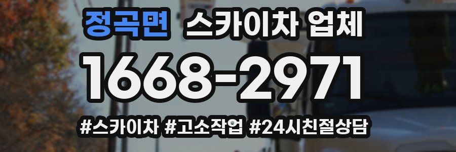 정곡면 스카이차 업체