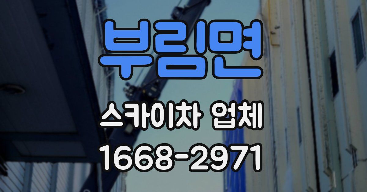 부림면 스카이차 업체