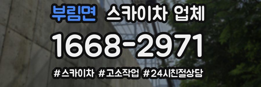부림면 스카이차 업체