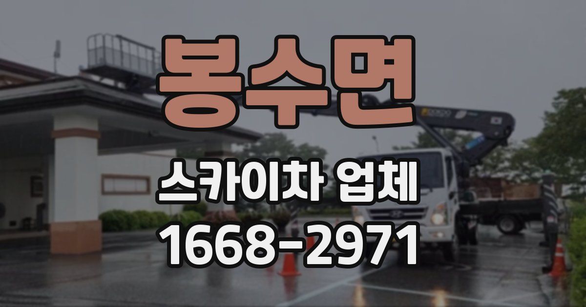 봉수면 스카이차 업체