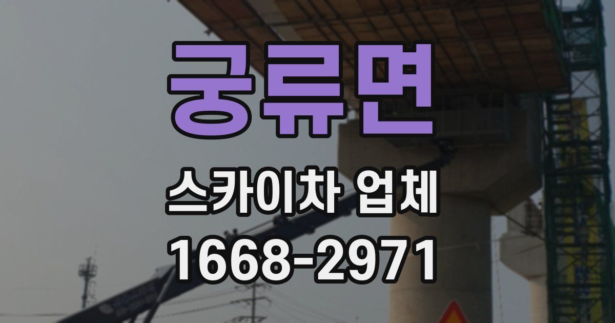 궁류면 스카이차 업체