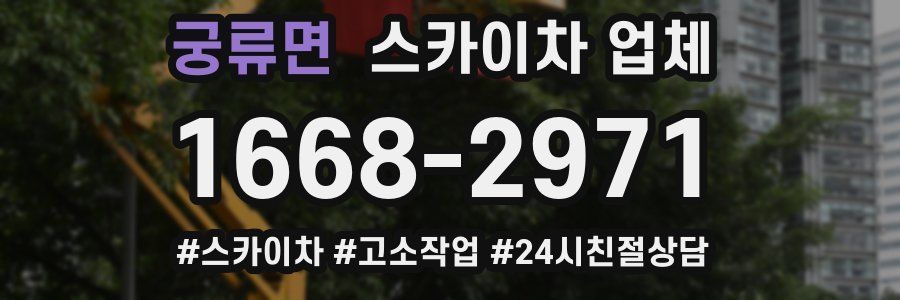 궁류면 스카이차 업체
