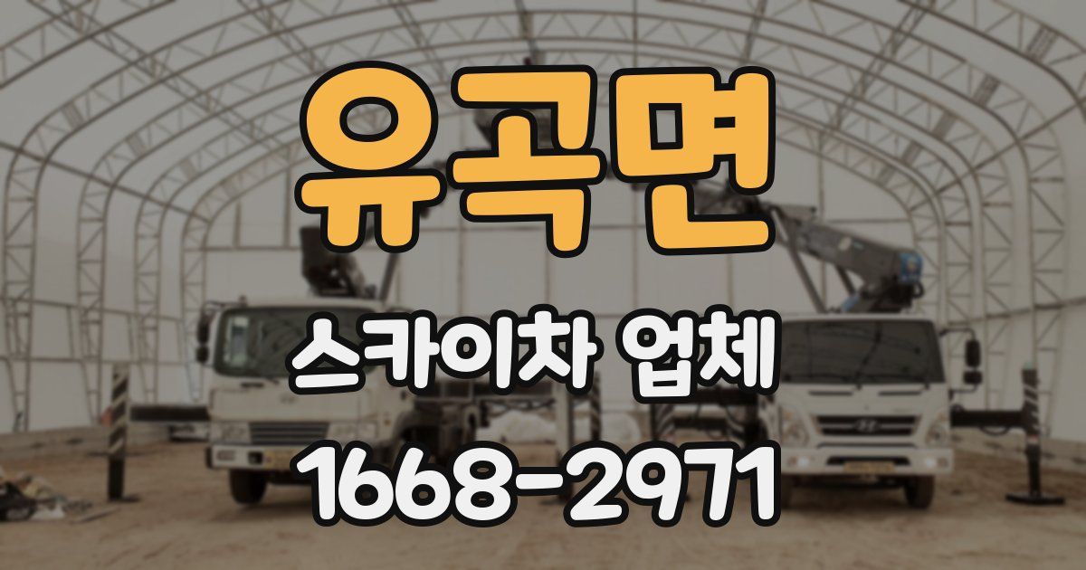 유곡면 스카이차 업체