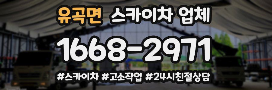 유곡면 스카이차 업체