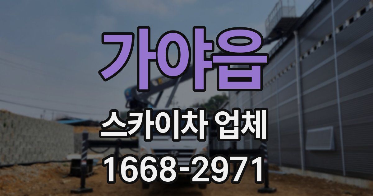 가야읍 스카이차 업체