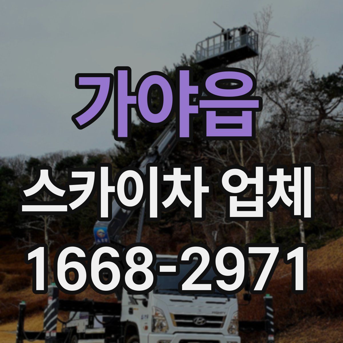 가야읍 스카이차 업체