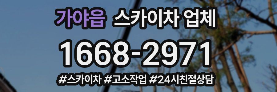 가야읍 스카이차 업체