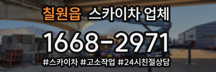 칠원읍 스카이차 업체