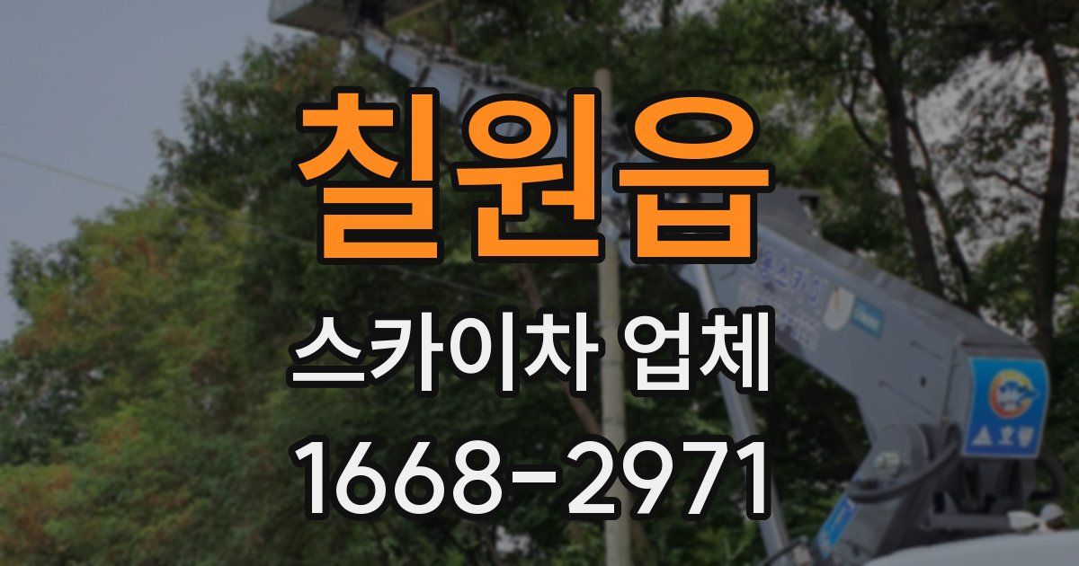 칠원읍 스카이차 업체
