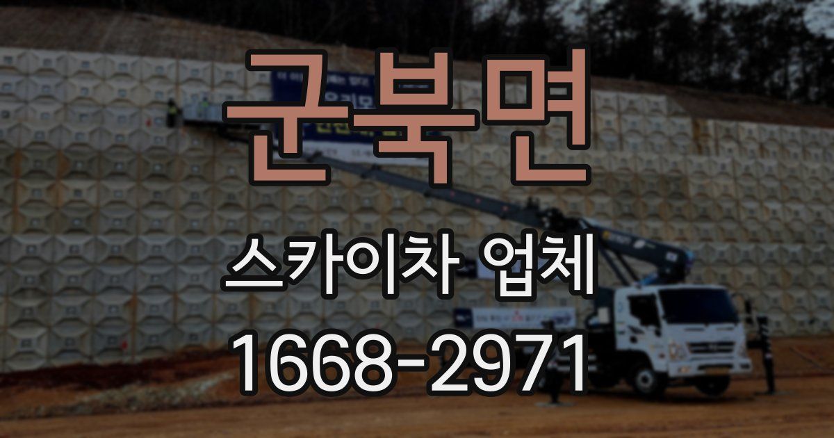 군북면 스카이차 업체