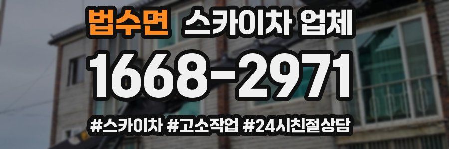 법수면 스카이차 업체