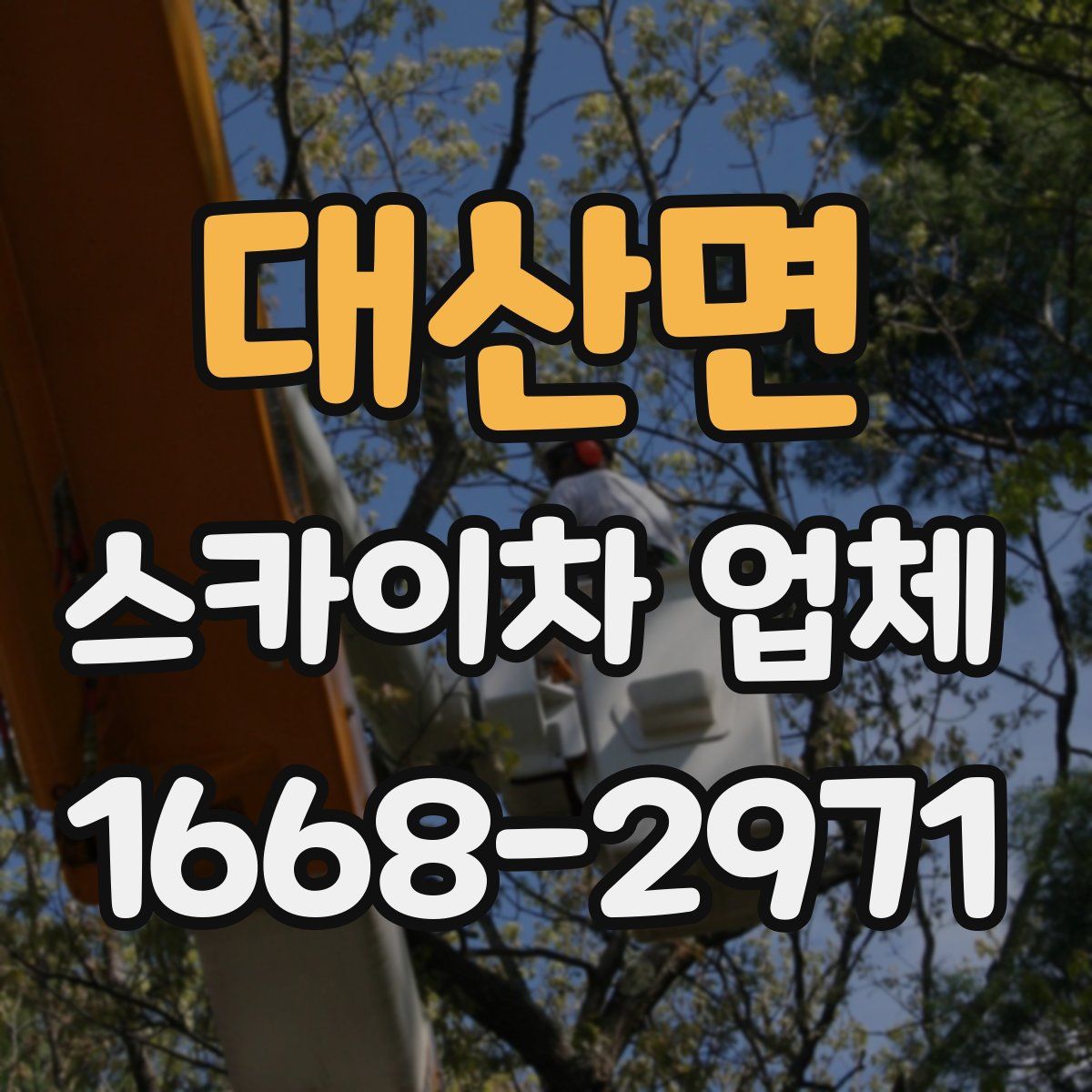 대산면 스카이차 업체