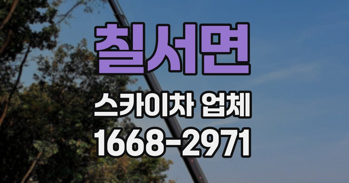 칠서면 스카이차 업체
