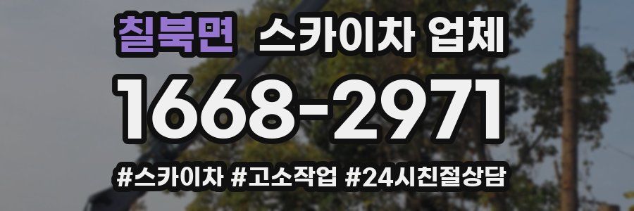 칠북면 스카이차 업체