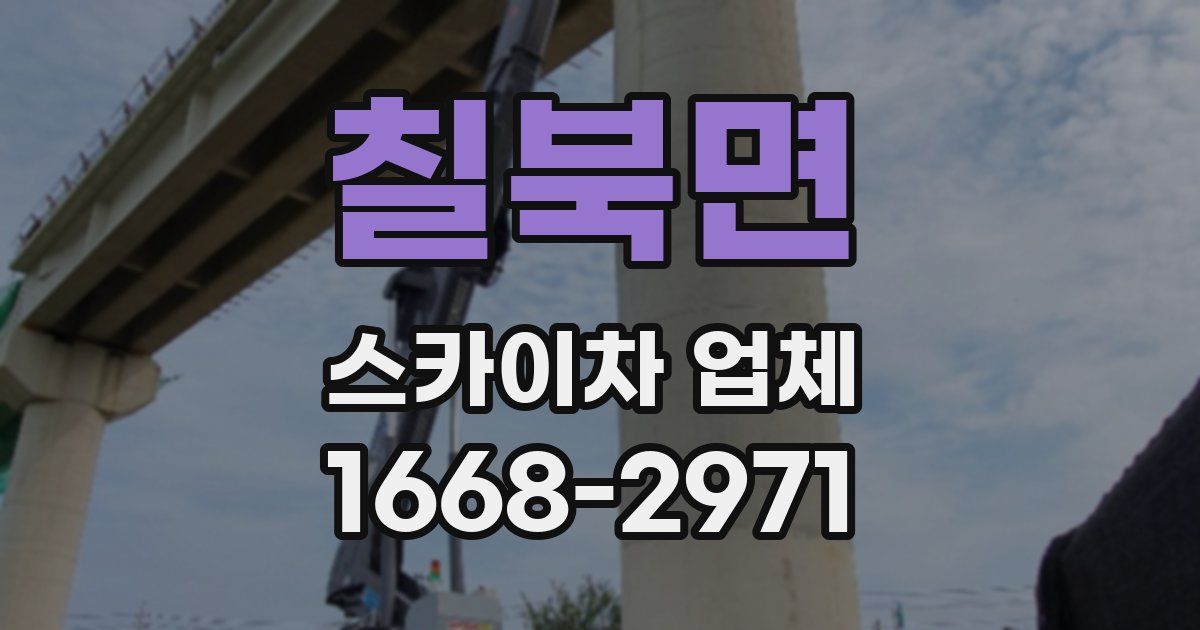 칠북면 스카이차 업체