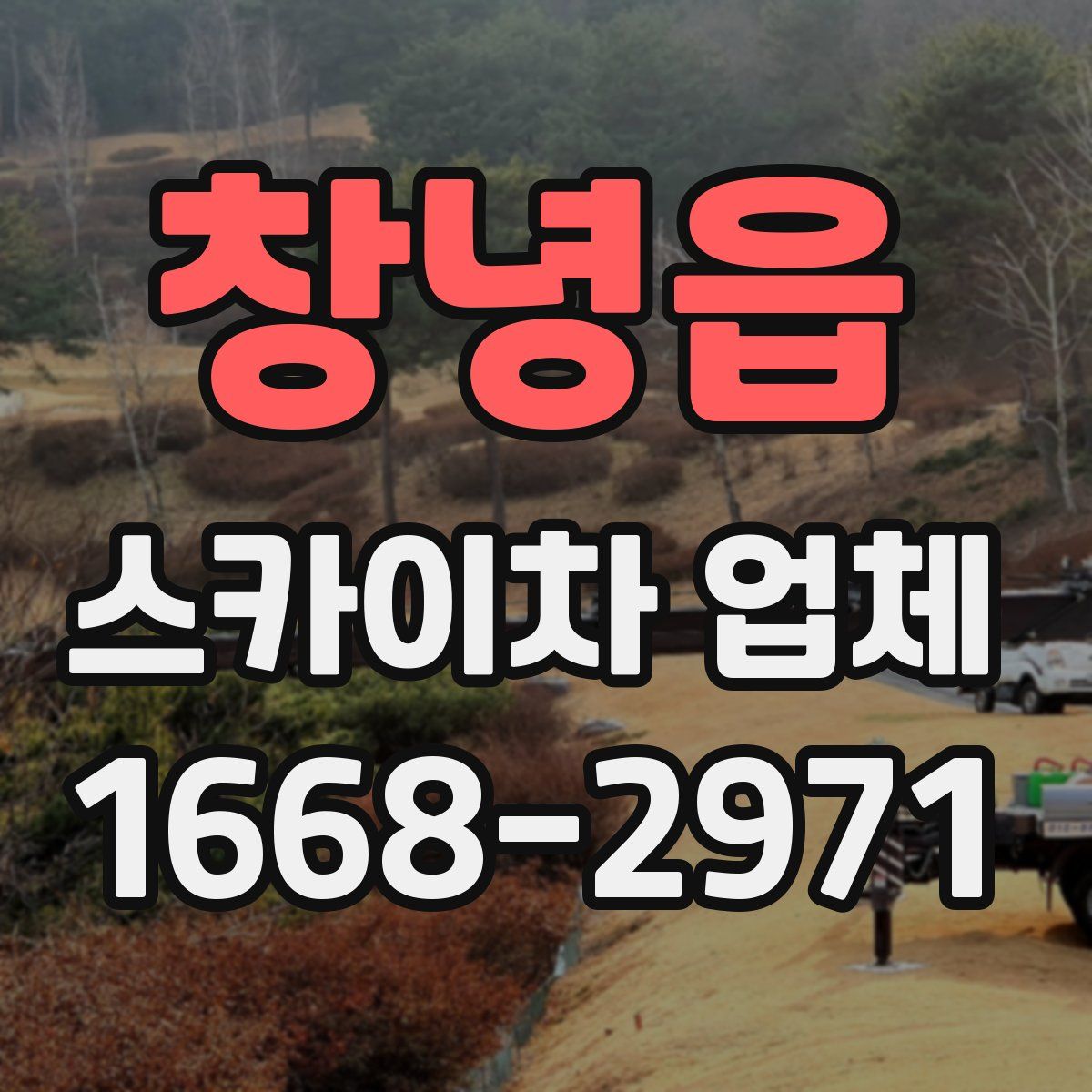 창녕읍 스카이차 업체
