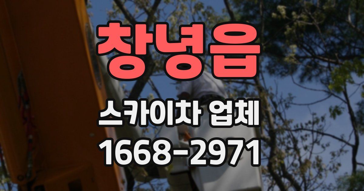 창녕읍 스카이차 업체