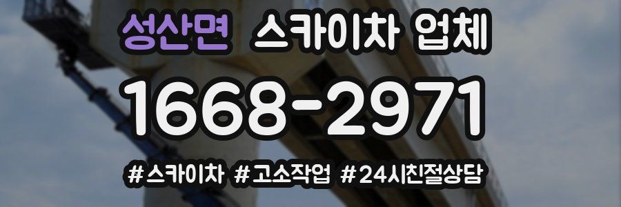 성산면 스카이차 업체