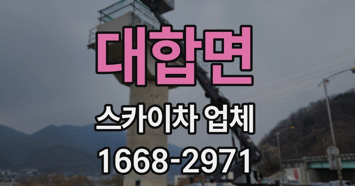 대합면 스카이차 업체