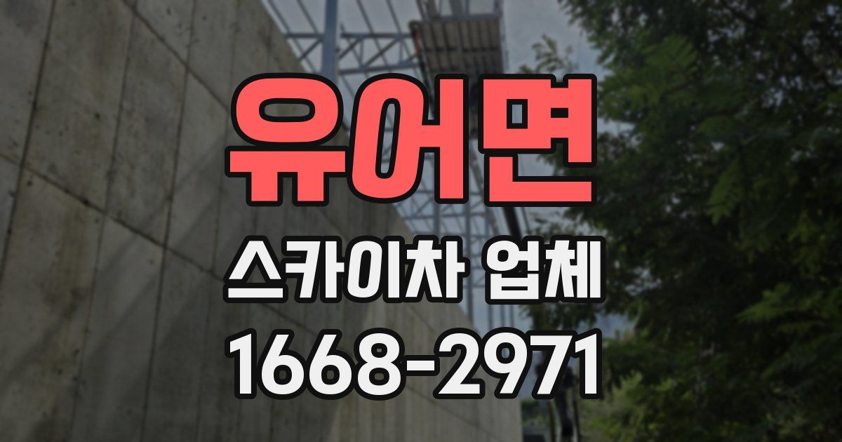 유어면 스카이차 업체