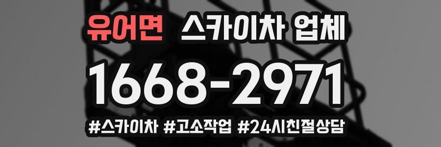 유어면 스카이차 업체