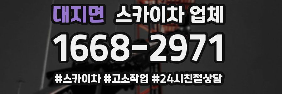 대지면 스카이차 업체
