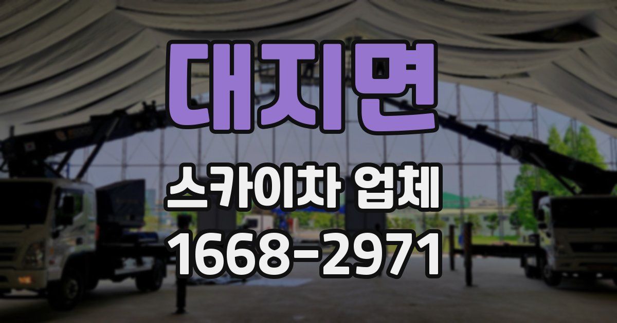 대지면 스카이차 업체