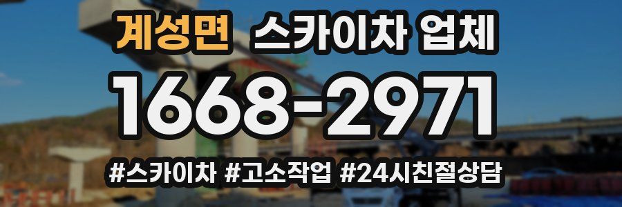 계성면 스카이차 업체