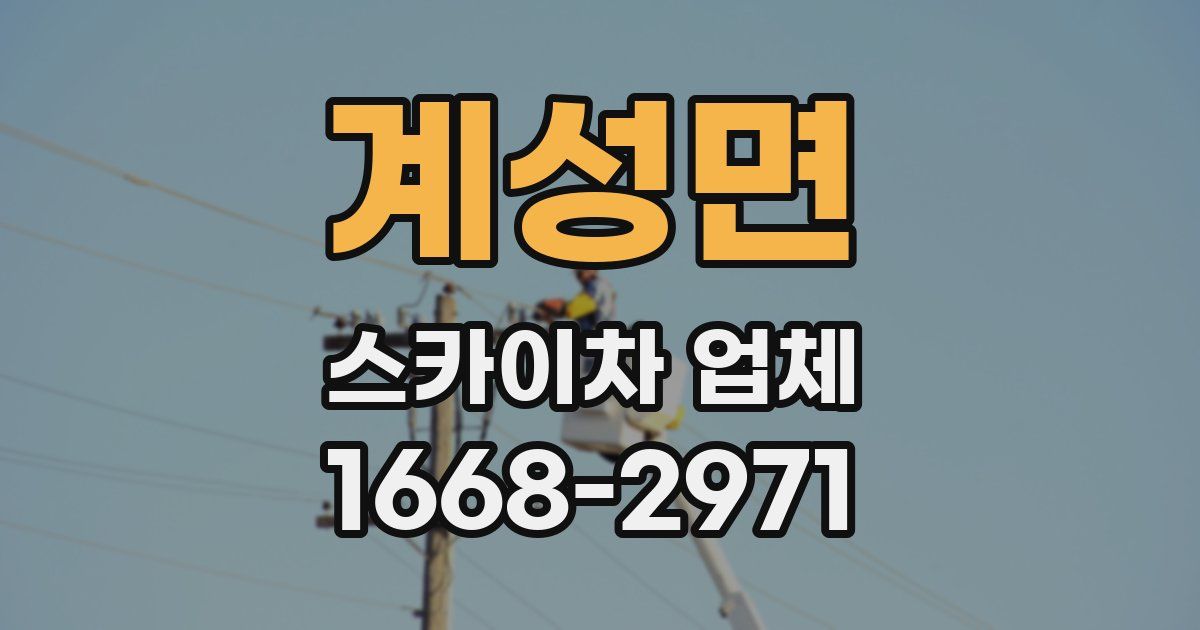 계성면 스카이차 업체