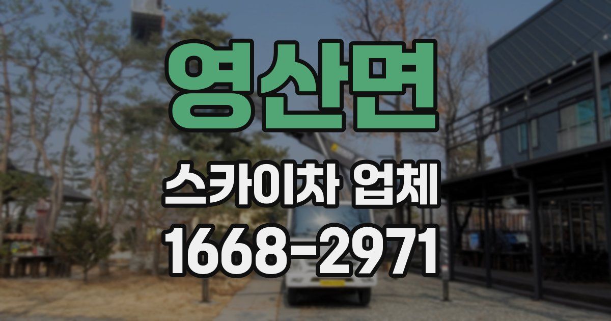 영산면 스카이차 업체