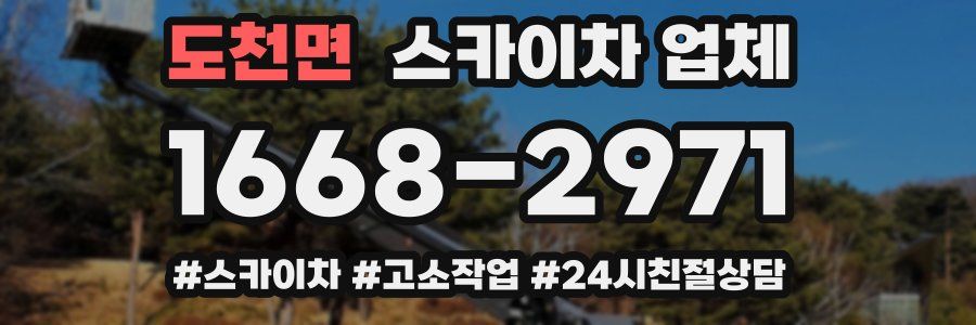 도천면 스카이차 업체