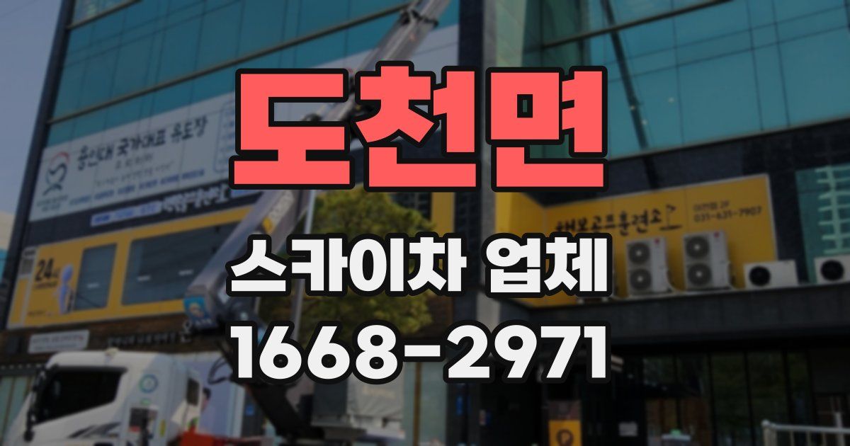 도천면 스카이차 업체