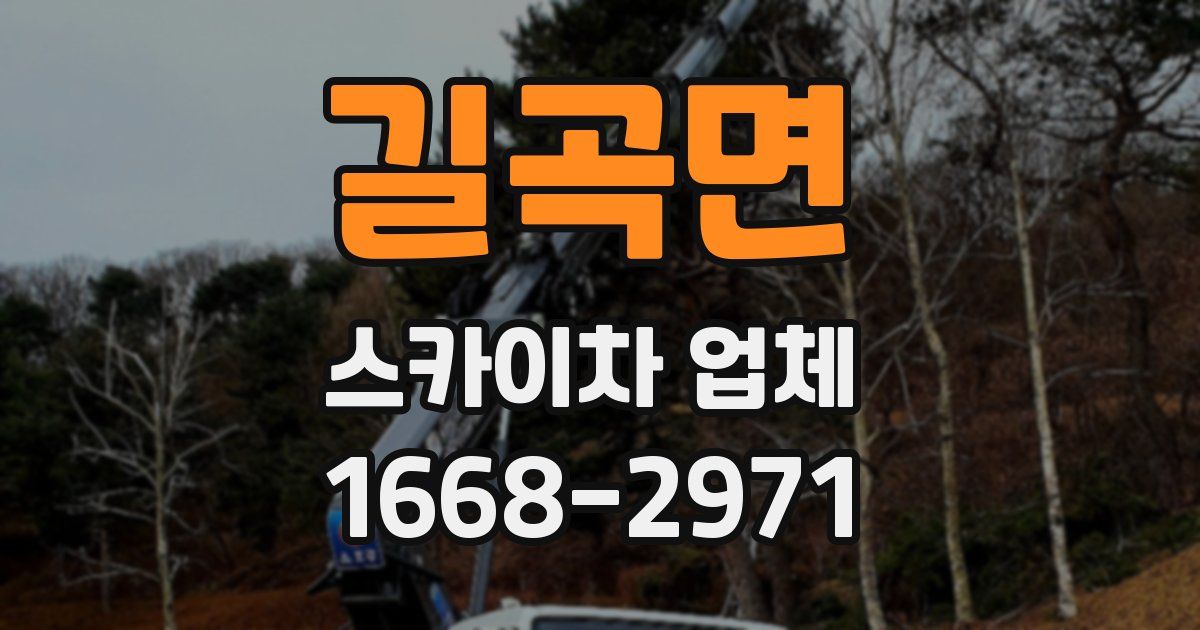 길곡면 스카이차 업체