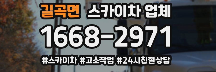 길곡면 스카이차 업체