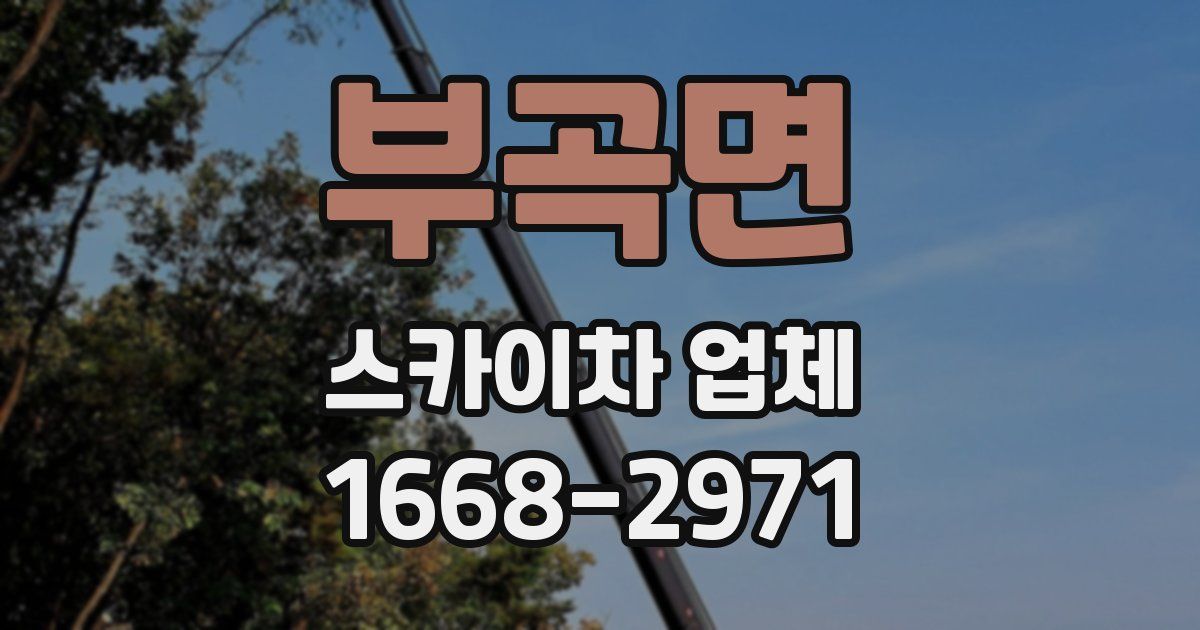 부곡면 스카이차 업체