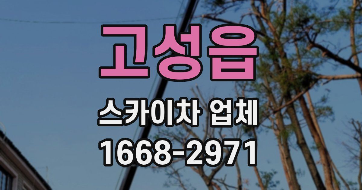 고성읍 스카이차 업체